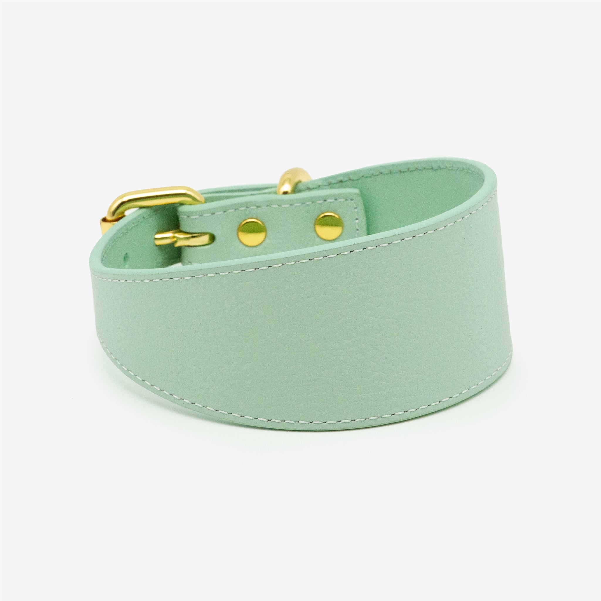 Mint Hundhalsband Bred