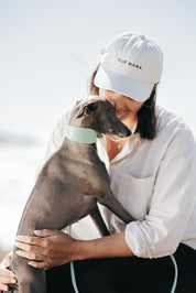 Mint Hundhalsband Bred