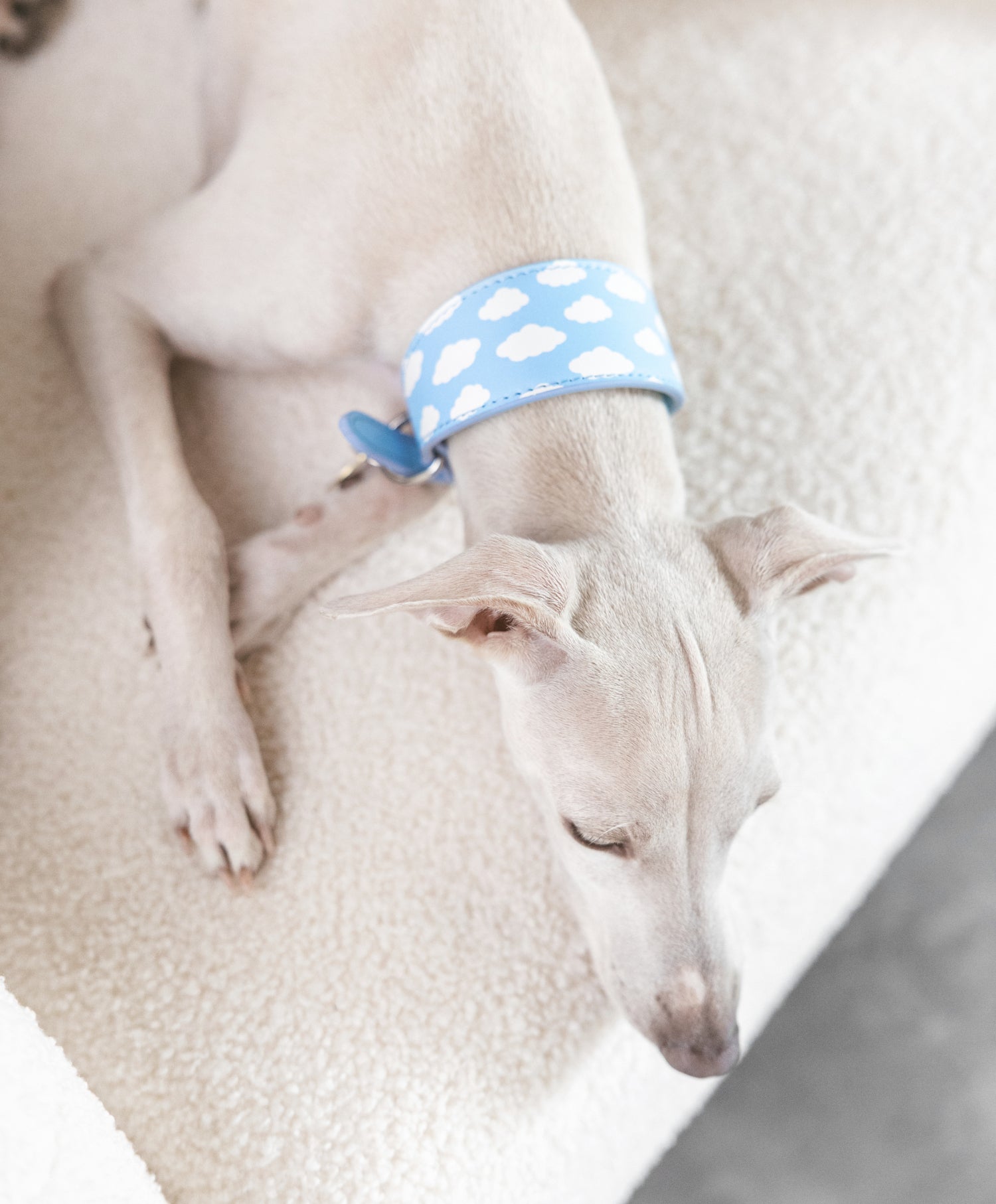 Moln Hundhalsband Bred