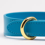 Neonblå Hundhalsband Smal