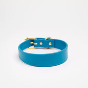 Neonblå Hundhalsband Smal