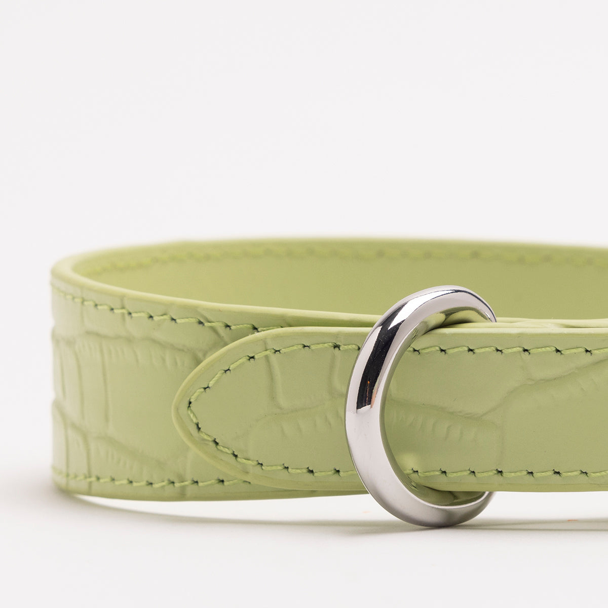 Pastellgrön Croco Hundhalsband Smal