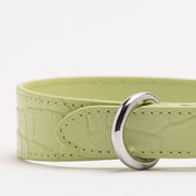 Pastellgrön Croco Hundhalsband Smal