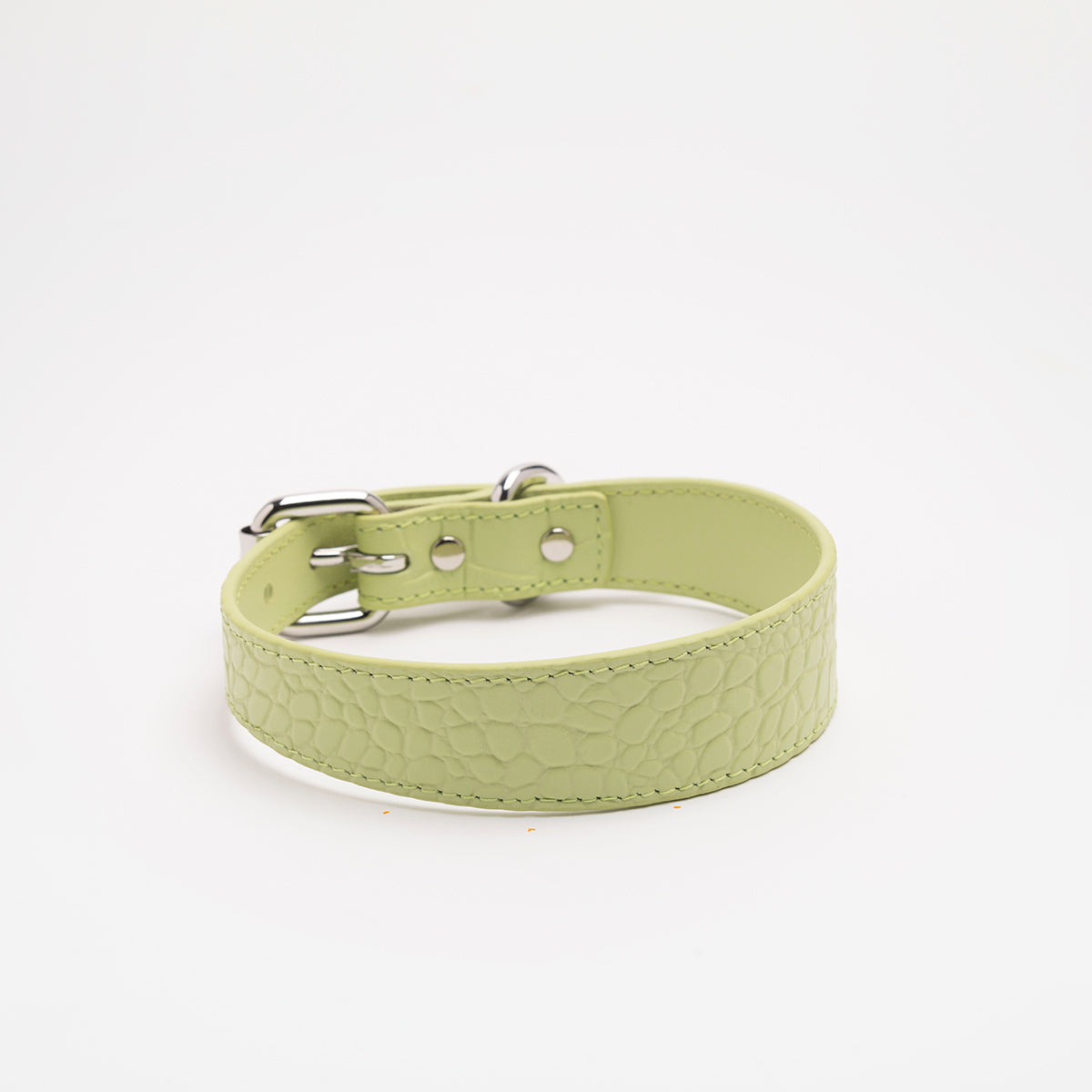 Pastellgrön Croco Hundhalsband Smal