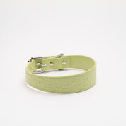 Pastellgrön Croco Hundhalsband Smal
