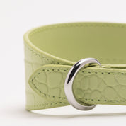Pastellgrön Croco Hundhalsband Bred