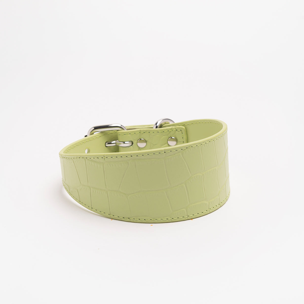 Pastellgrön Croco Hundhalsband Bred