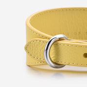 Pastellgul Hundhalsband Bred