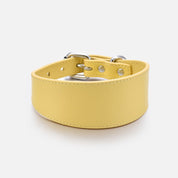Pastellgul Hundhalsband Bred