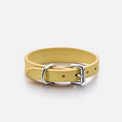 Pastellgul Hundhalsband Smal