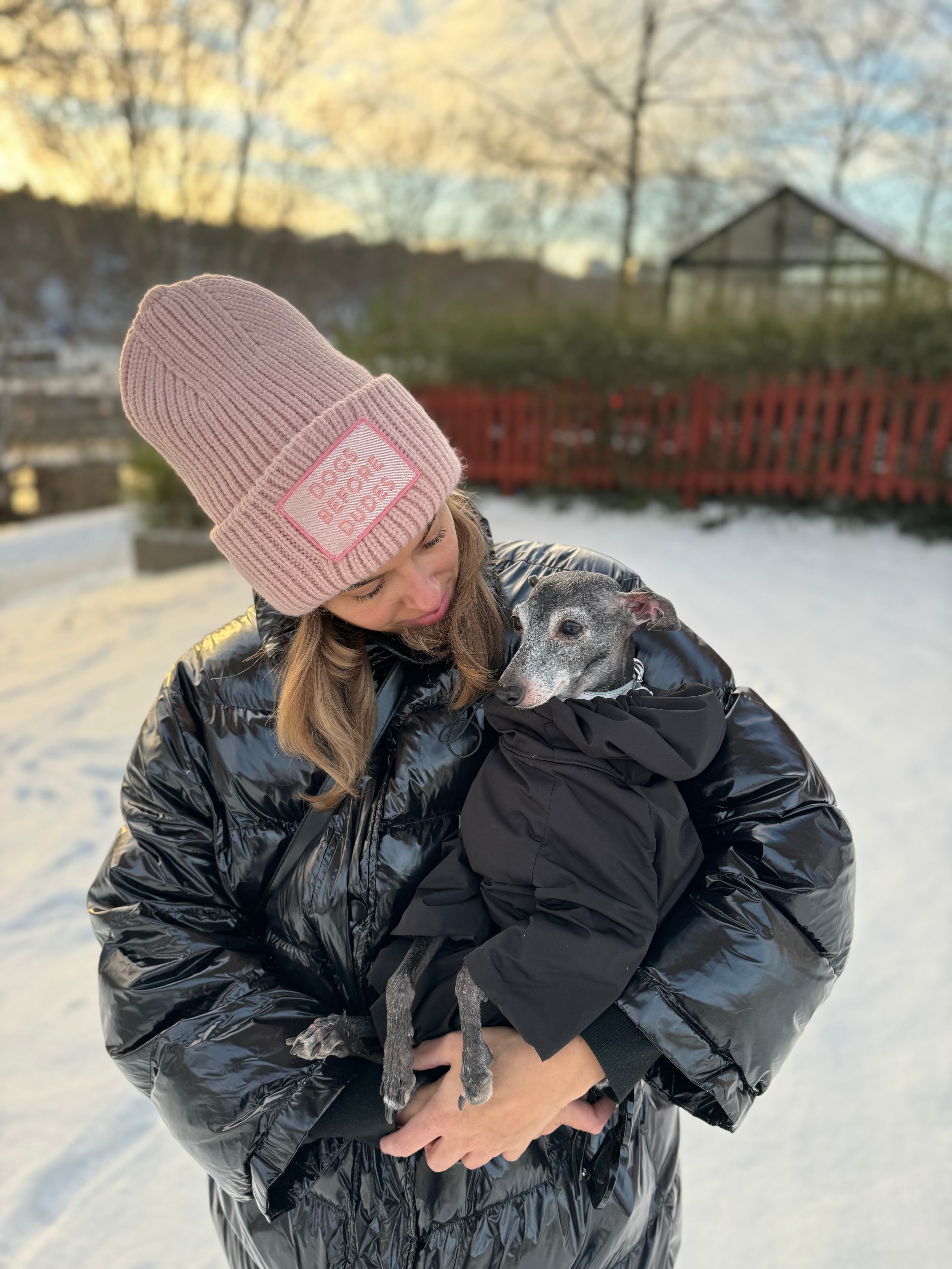 Rosa Ullmössa - Dogs Before Dudes