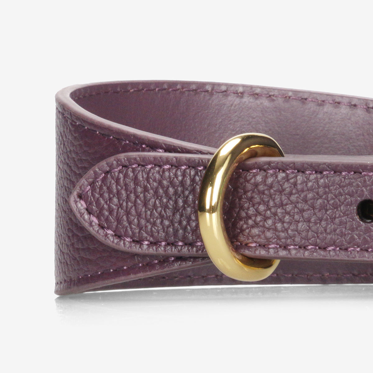 Mörklila Hundhalsband Bred