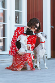 Klarröd Flätat Hundhalsband Bred