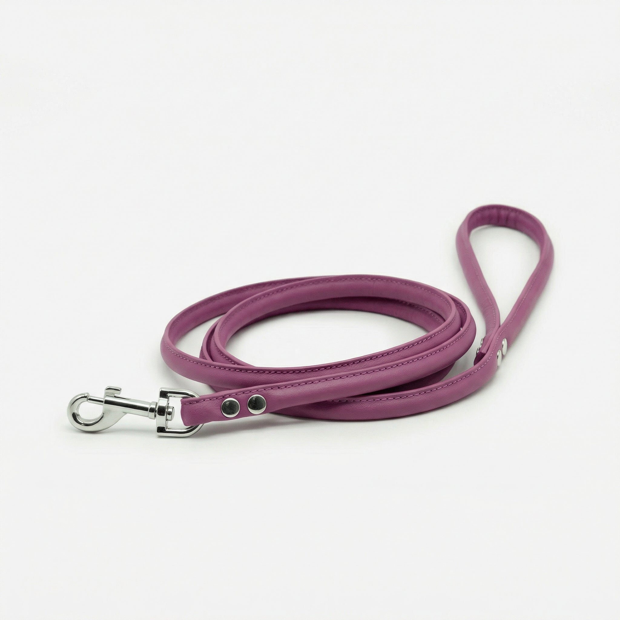 purple-dog-lead-medium-silver.jpg