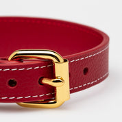 Röd Hundhalsband Smal