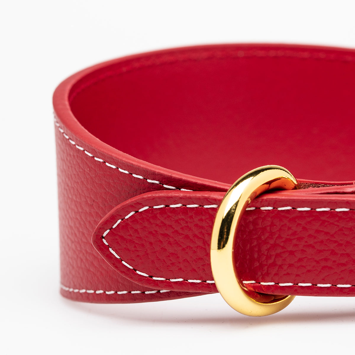 Röd Hundhalsband Bred