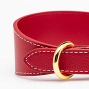 Röd Hundhalsband Bred