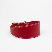 Röd Hundhalsband Bred
