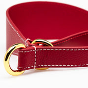Röd Hundhalsband Halvstryp Bred