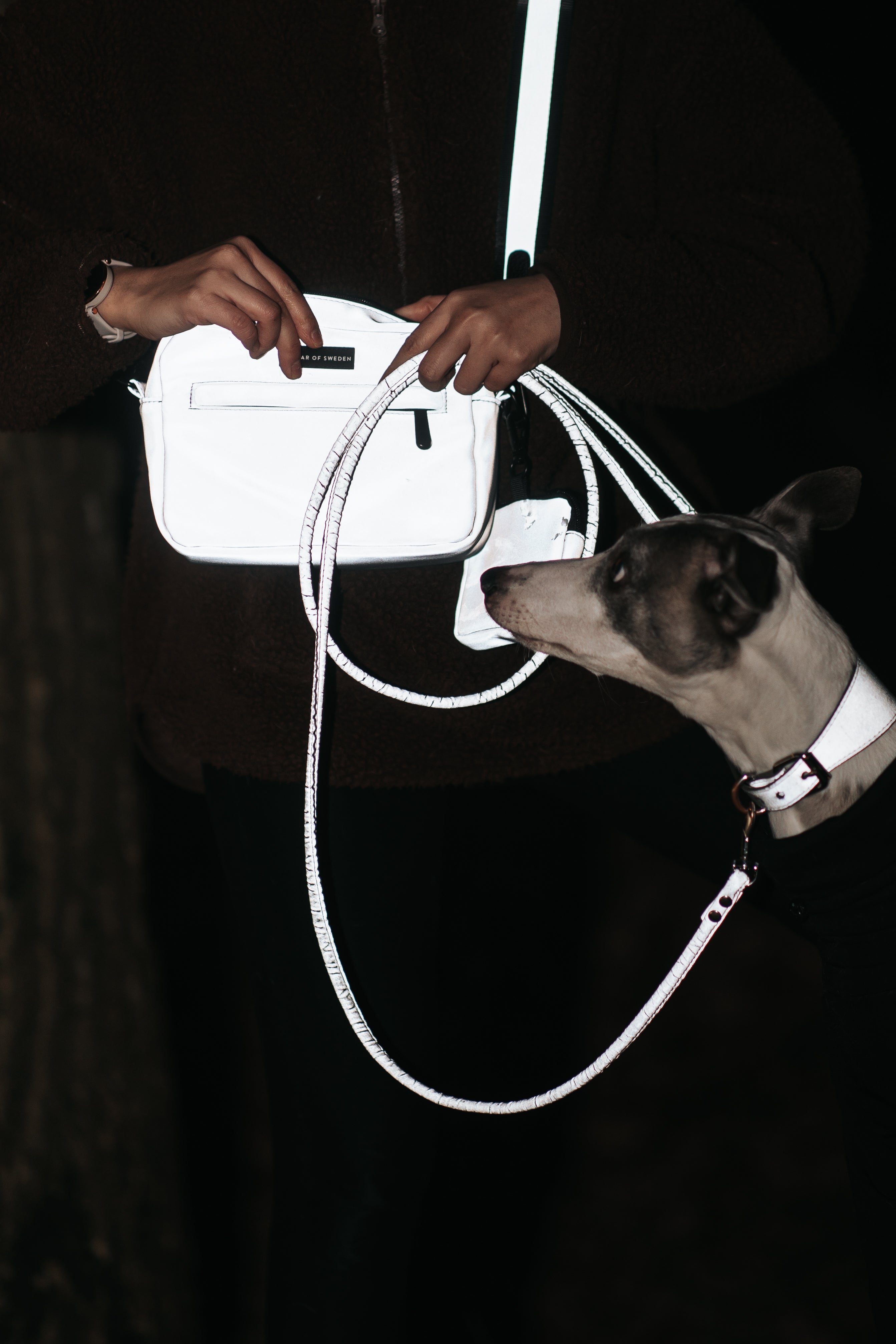 Hundpromenad Väska Reflex Silver - Crossbody