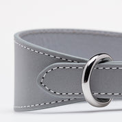 Reflex Silver Hundhalsband Bred