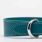 Turkos Hundhalsband Smal