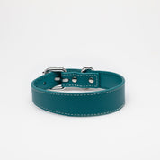 Turkos Hundhalsband Smal