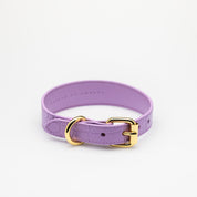 Violett Croco Hundhalsband Smal