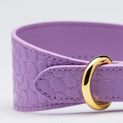 Violett Croco Hundhalsband Bred