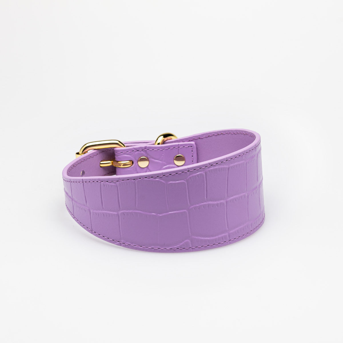 Violett Croco Hundhalsband Bred