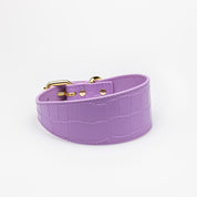 Violett Croco Hundhalsband Bred