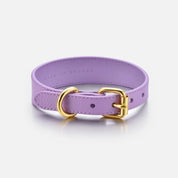 Violett Hundhalsband Smal