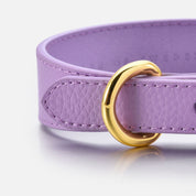 Violett Hundhalsband Smal