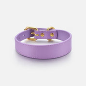 Violett Hundhalsband Smal