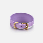 Violett Hundhalsband Bred