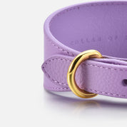 Violett Hundhalsband Bred