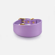 Violett Hundhalsband Bred