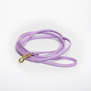 Violett Hundkoppel
