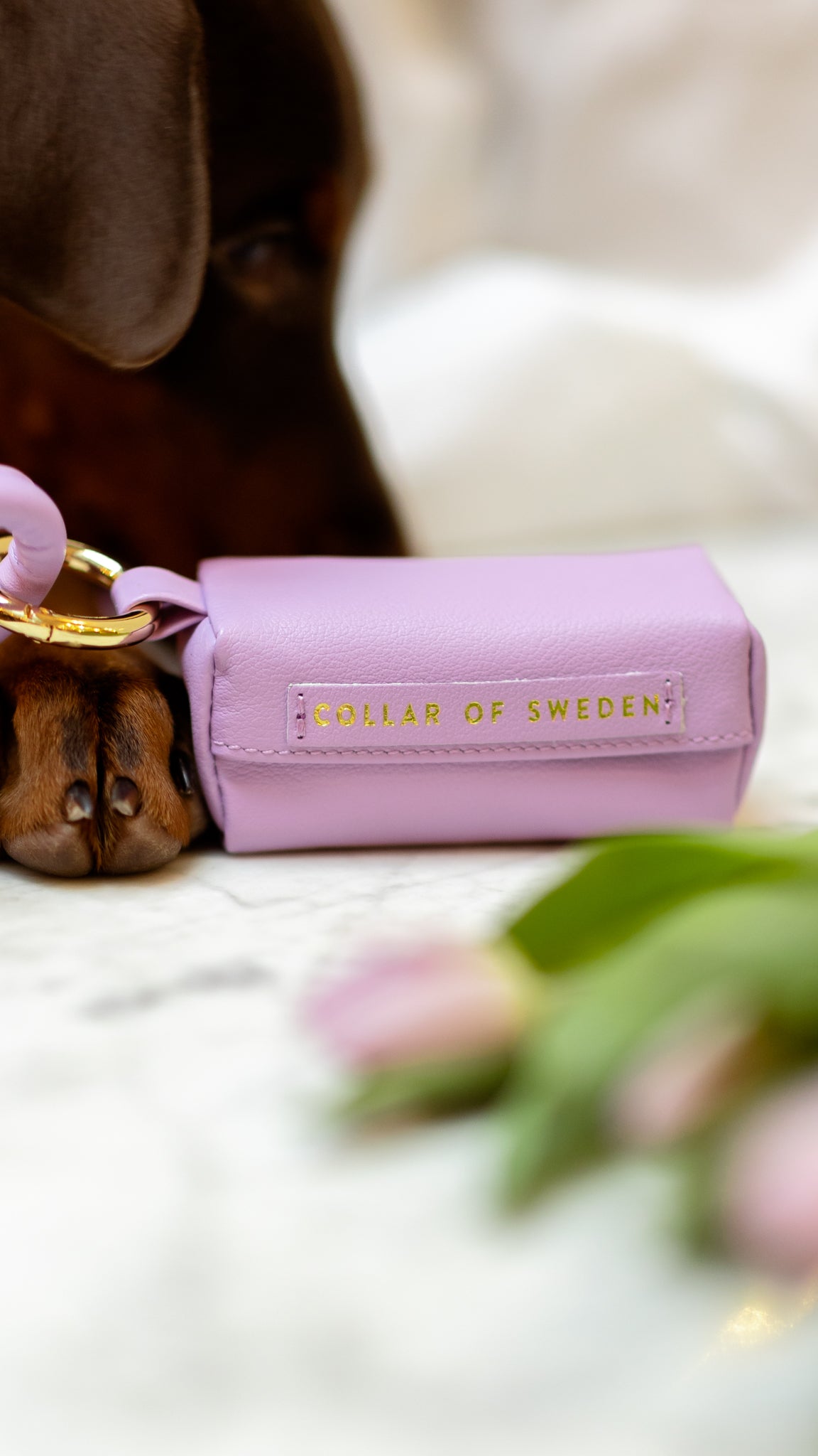 Violett Bajspåsehållare