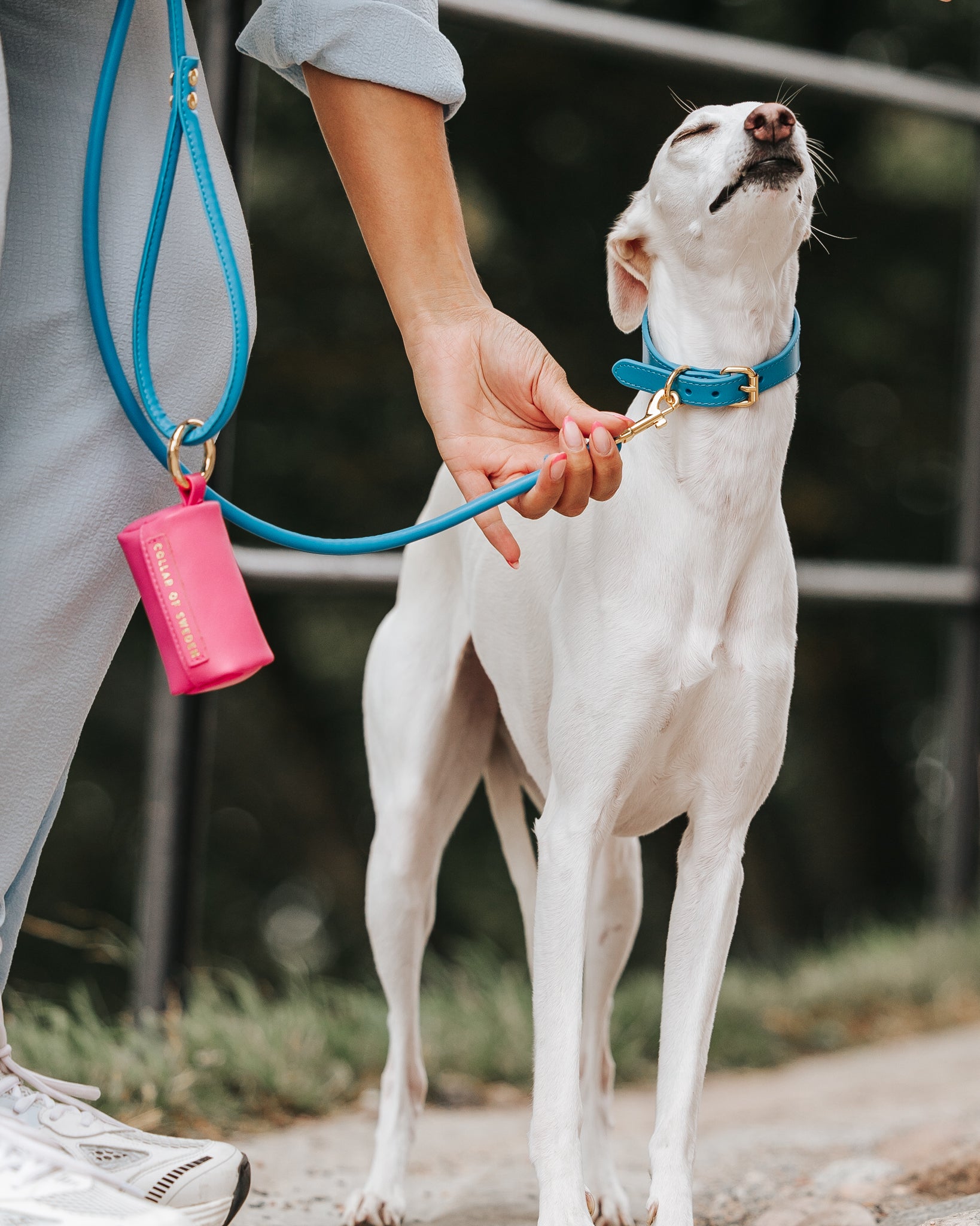 Neonblå Hundkoppel