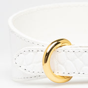 Vit Croco Hundhalsband Bred