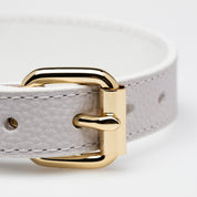 Vit Hundhalsband Smal