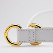 Vit Hundhalsband Halvstryp Bred