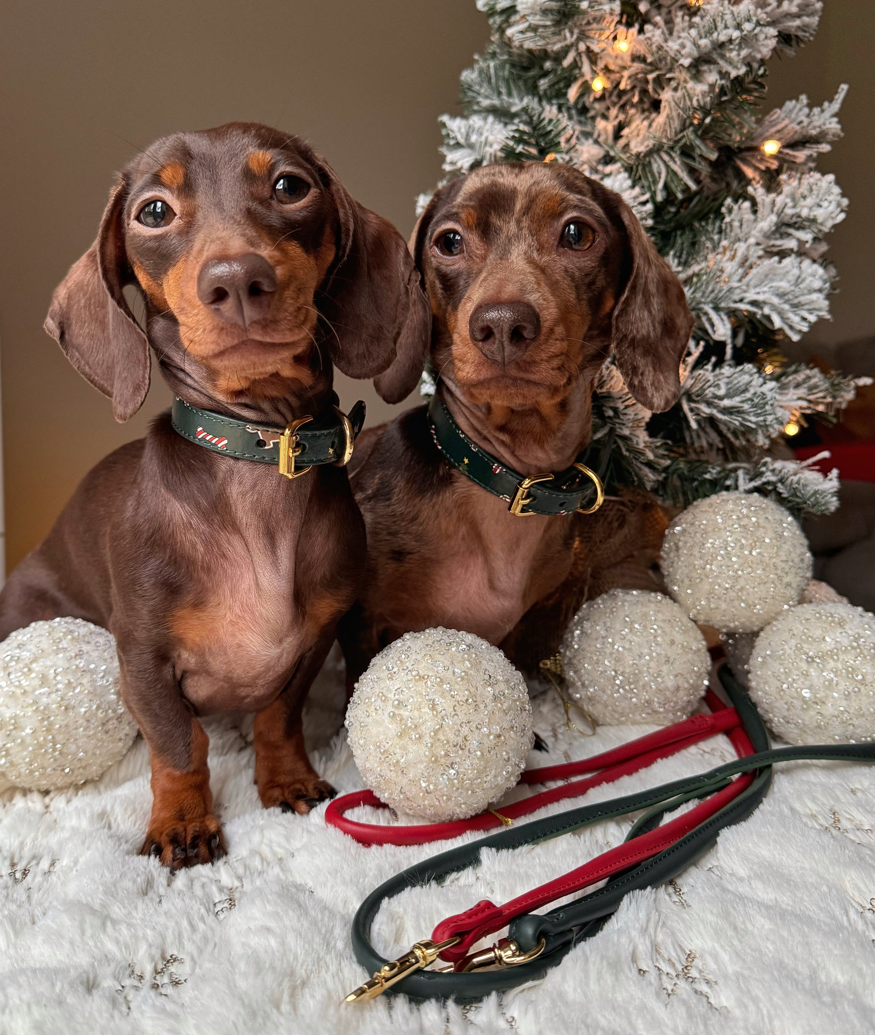 Jul Hundhalsband Smal