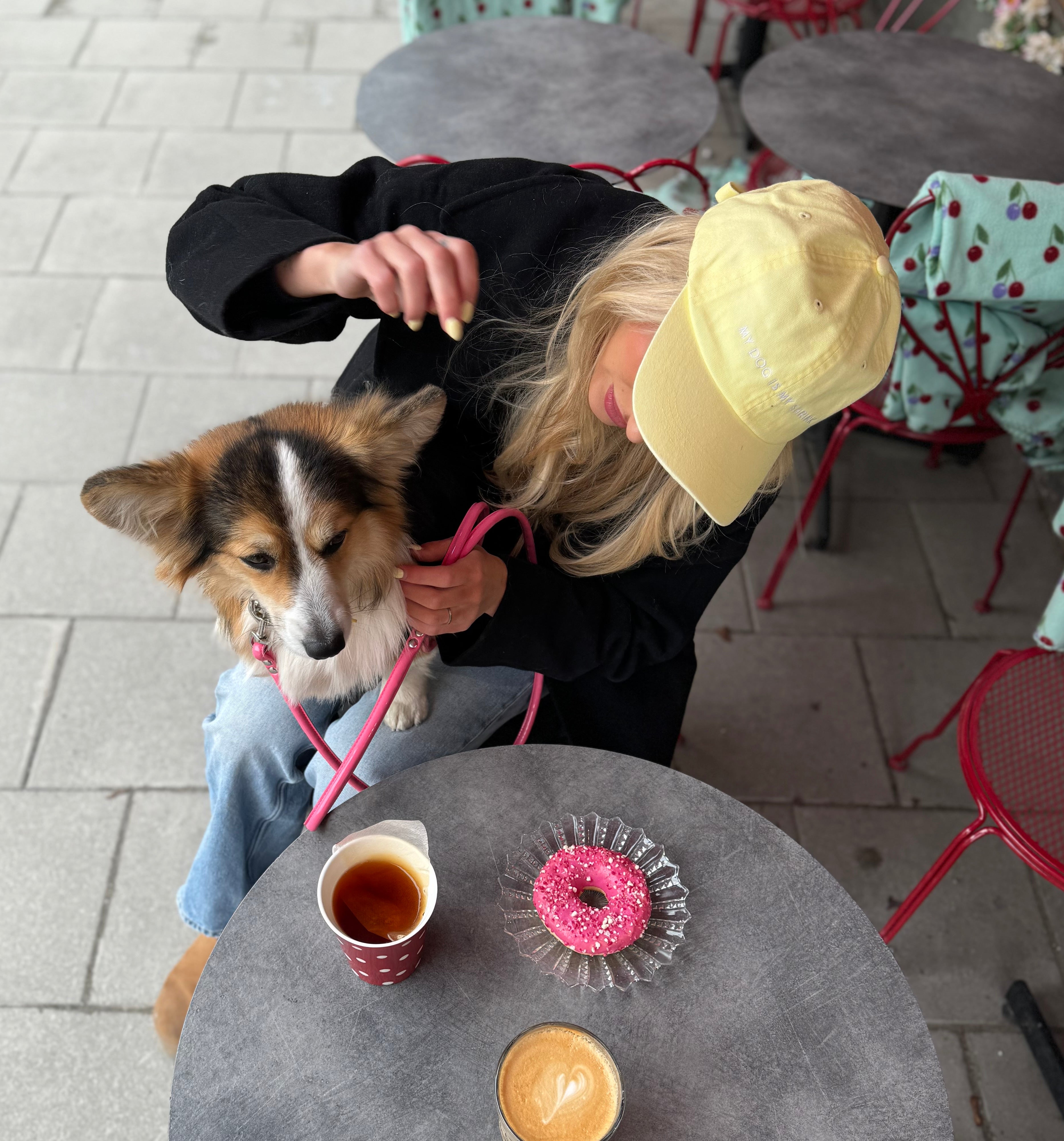 Gul Jeanskeps - My Dog Is My Shrink